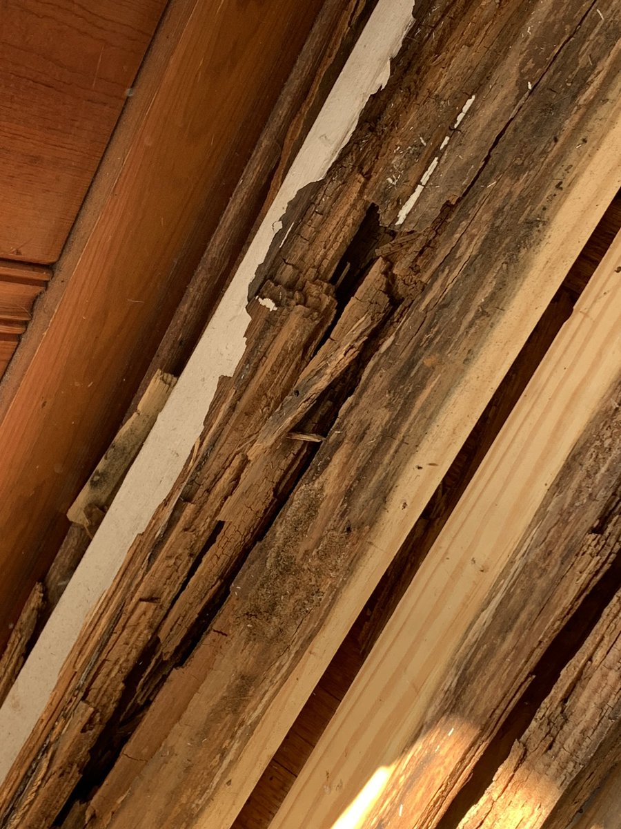 mmadison996's tweet photo. When you are working on one project and then another thing in your house comes apart. #RemodelProblems #OldHouses #DecayedWood #WindowFrames https://t.co/7GIPDgOLX7
