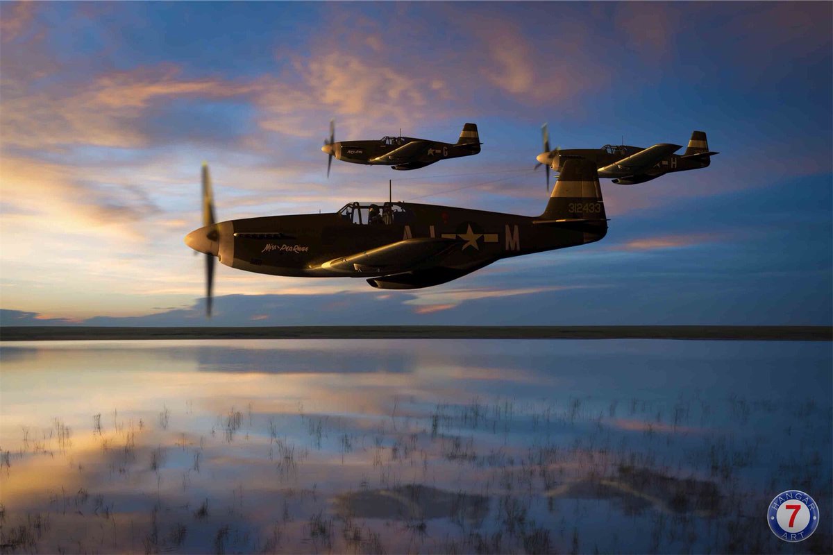 My new print “Mustang Reflections”
Available here : hangar7.pixels.com 

#WWII #WW2 #aviation #avgeek #aircraft #history #art