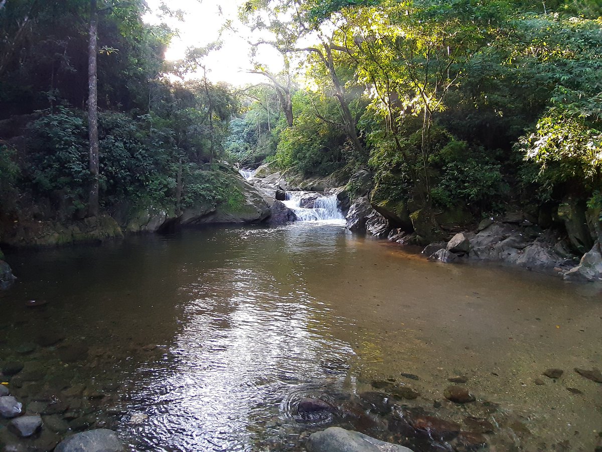 ViveTuOficial's tweet photo. Si usted también está siendo afectado por el calor de estos días, salga de casa y es hora de ir a visitar a Minca, Pozo Azul...
#SantaMarta #SierraNevada #CiudadPerdida #Minca #PozoAzul https://t.co/IAgsJGMcU0