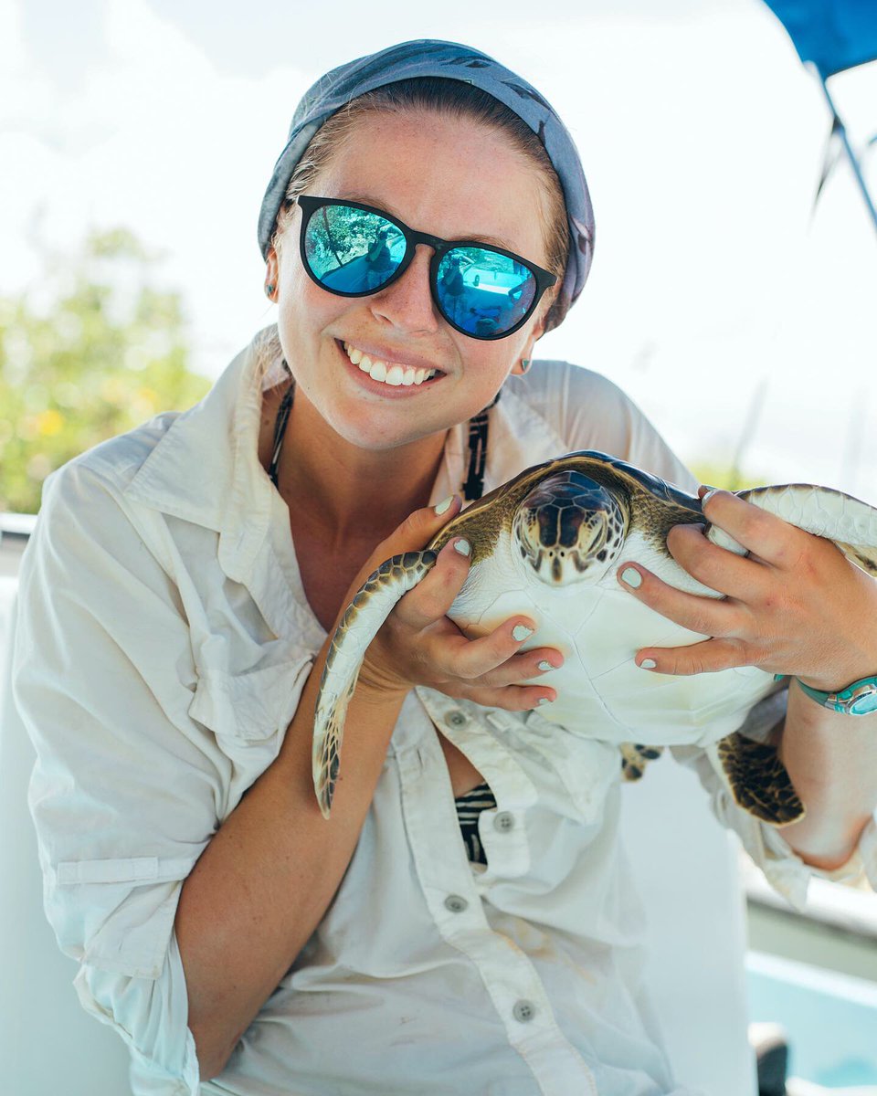 WomeninOceanSci's tweet photo. Shell Yeah! 🐚🐢 Liberty traveled to Madagascar to conduct research on green sea turtle foraging ecology, with a focus on their potential to transfer nutrients across habitat boundaries.

Join the community: https://t.co/0uhjpB7Rg3

|Photo by @liberty_boyd #girlsinoceanscience⁣ https://t.co/ODAILO9cs1