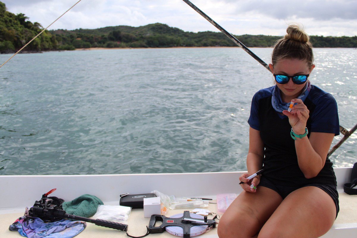 WomeninOceanSci's tweet photo. Shell Yeah! 🐚🐢 Liberty traveled to Madagascar to conduct research on green sea turtle foraging ecology, with a focus on their potential to transfer nutrients across habitat boundaries.

Join the community: https://t.co/0uhjpB7Rg3

|Photo by @liberty_boyd #girlsinoceanscience⁣ https://t.co/ODAILO9cs1