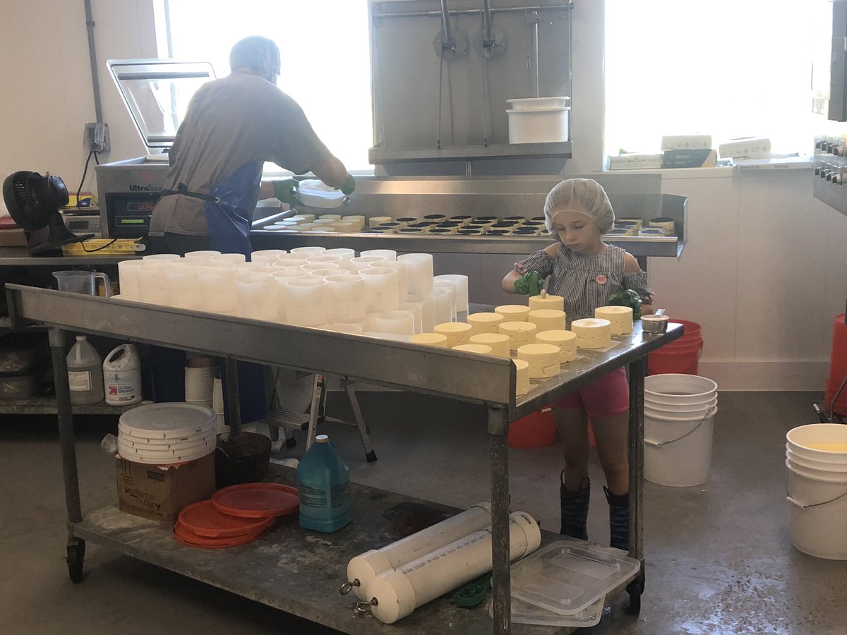 I guess I can retire soon. #nextgeneration #cheesemaking #artisancheese