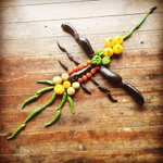 発想がすごい!ナス科の野菜のみで作られた「ナス科の地上絵」