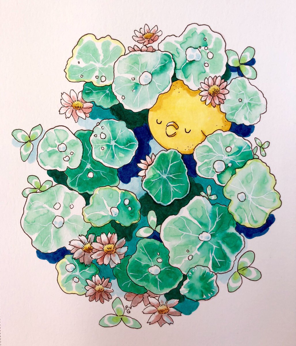 Paulina Ganucheau tweet media