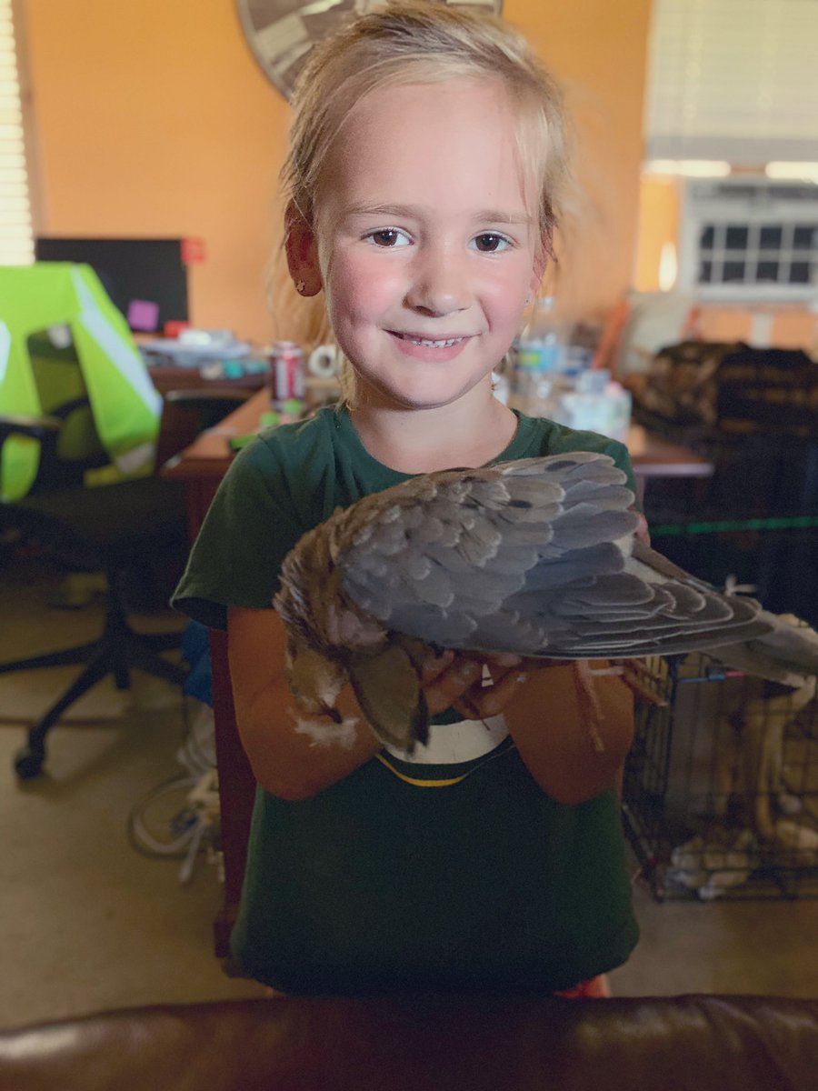 huey__ken's tweet photo. She was out there long enough for 1 bird. Then she was done π€£ #openingweekend #doveseason #huntingwithdaddy https://t.co/Ogsdh81WxM