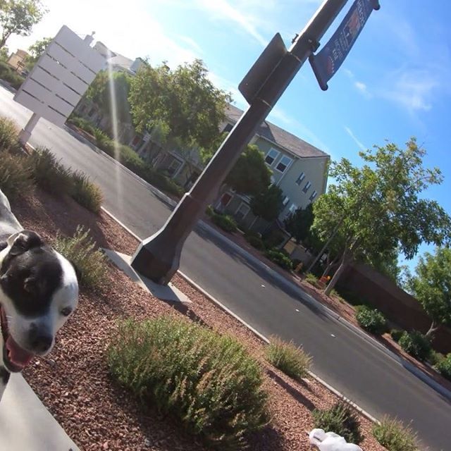 Testing out the #goprohero7black for the first time. <a href="/gopro/">GoPro</a> ift.tt/34L63iz