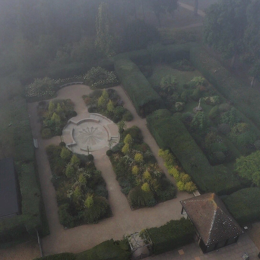 agiusml's tweet image. misty morning to sunny evening : the early autumn hues of the ginkgo &amp;amp; rhus are flirting with the change of seasons @exburygardens : #exbury100