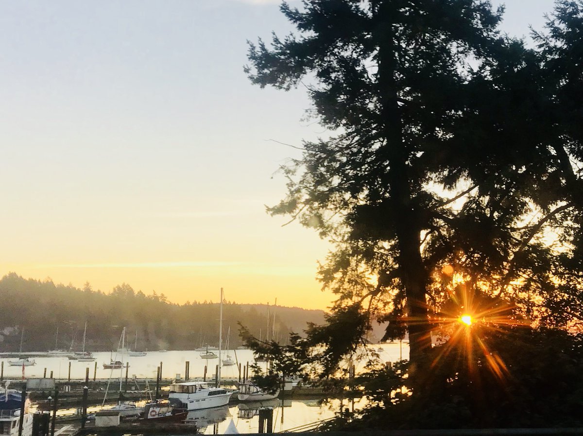 SSadventureco's tweet image. Another beautiful sunset captured in Ganges Harbor. Come and join us for a September kayak tour and see our coastal wildlife; seals, herons and eagles as well as tidal creatures.

#SSAC #kayaking #ComeAdventureWithUs #sunset