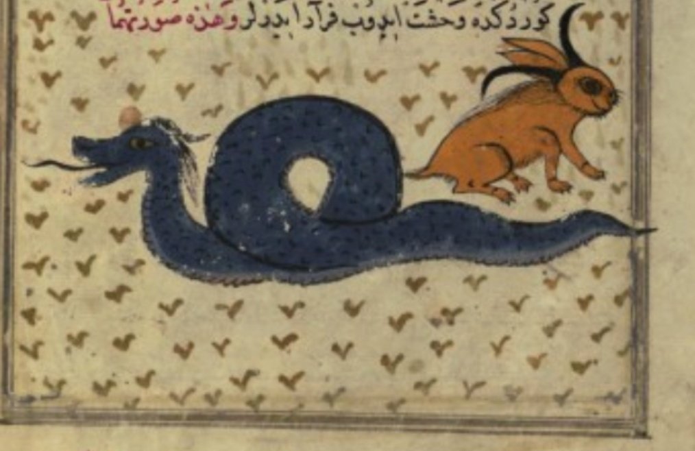 AL-MI'RAJ (المعراج):A giant serpent that is said to live on Jezîrat al-Tennyn (Sea-Serpent Island), located somewhere around the Indian Ocean. Legend says the beast was gifted to Alexander the Great, after it killed a dragon that was plaguing the inhabitants of the island.