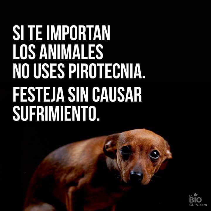 HELA_MORE's tweet photo. #15DeSeptiembre #NoALaPirotecnia #NOALMALTRATOANIMAL #DiaDeLaIndependenciaDeMexico https://t.co/gikZBtAT2n
