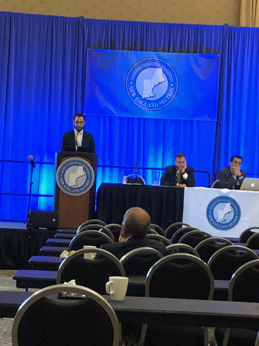 Tammer Yamany presenting at NEAUA