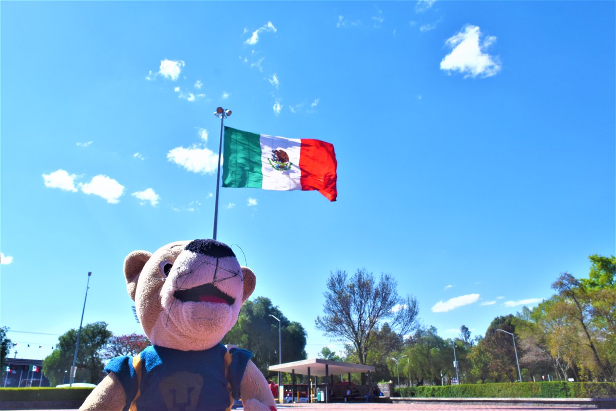 UNAM_MX's tweet photo. Hoy, más que nunca, que ondeé la bandera mexicana. ¿En dónde celebras las fiestas patrias? #15DeSeptiembre https://t.co/4KQV4H0F7U