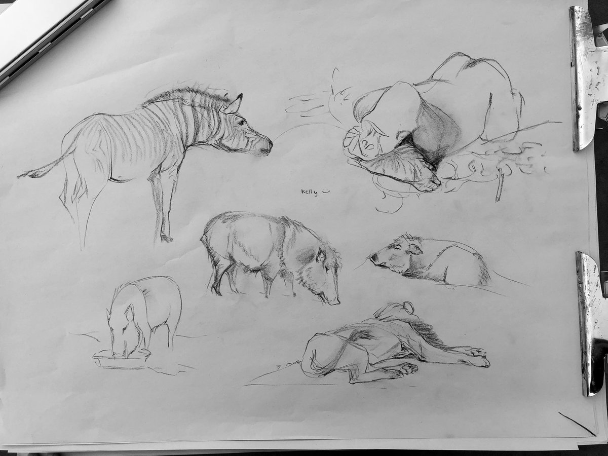 More sketches at the zoo with @cyandraws @benhongart and a pal. 