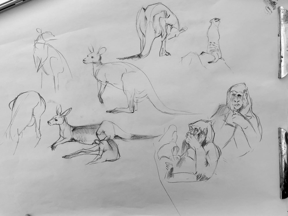 More sketches at the zoo with @cyandraws @benhongart and a pal. 