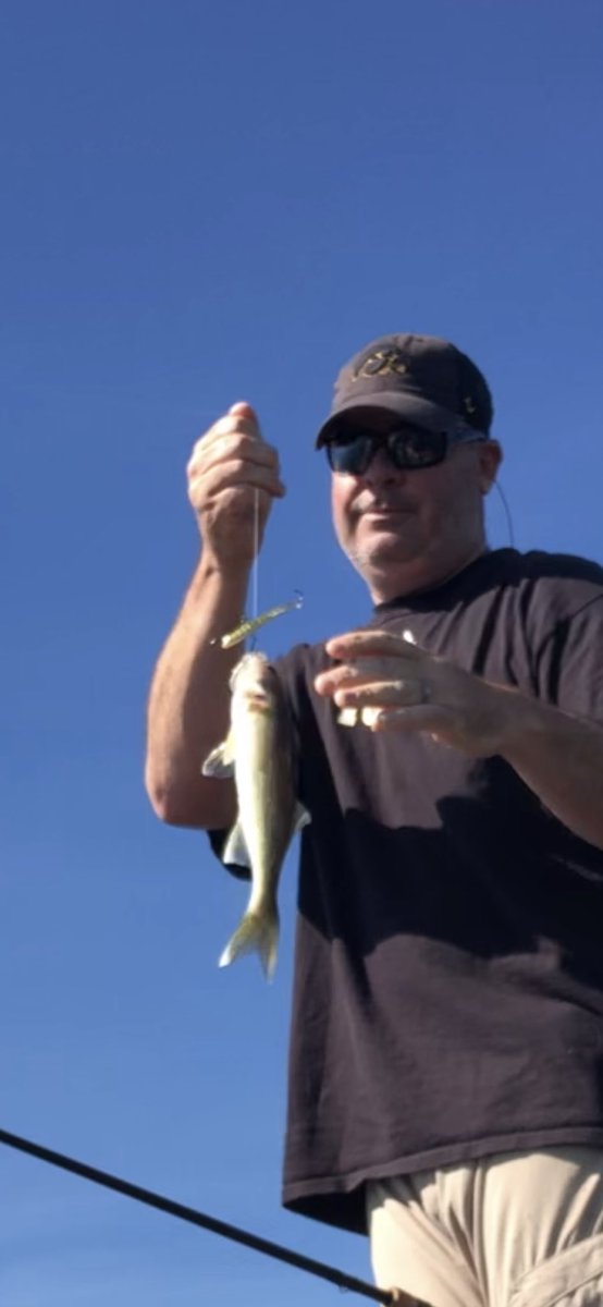 FishingFo's tweet photo. 113 straight https://t.co/fvR86ymnFm