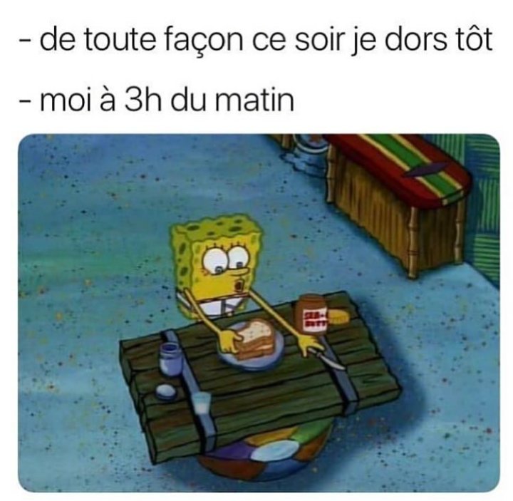 sofiaziane's tweet image. 