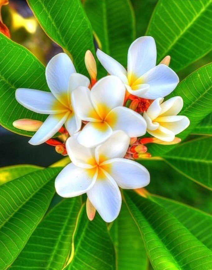 corner_elise's tweet photo. 💖💖💖💫💛💛💛💫💚💚💚 https://t.co/JqRV6nqoVf