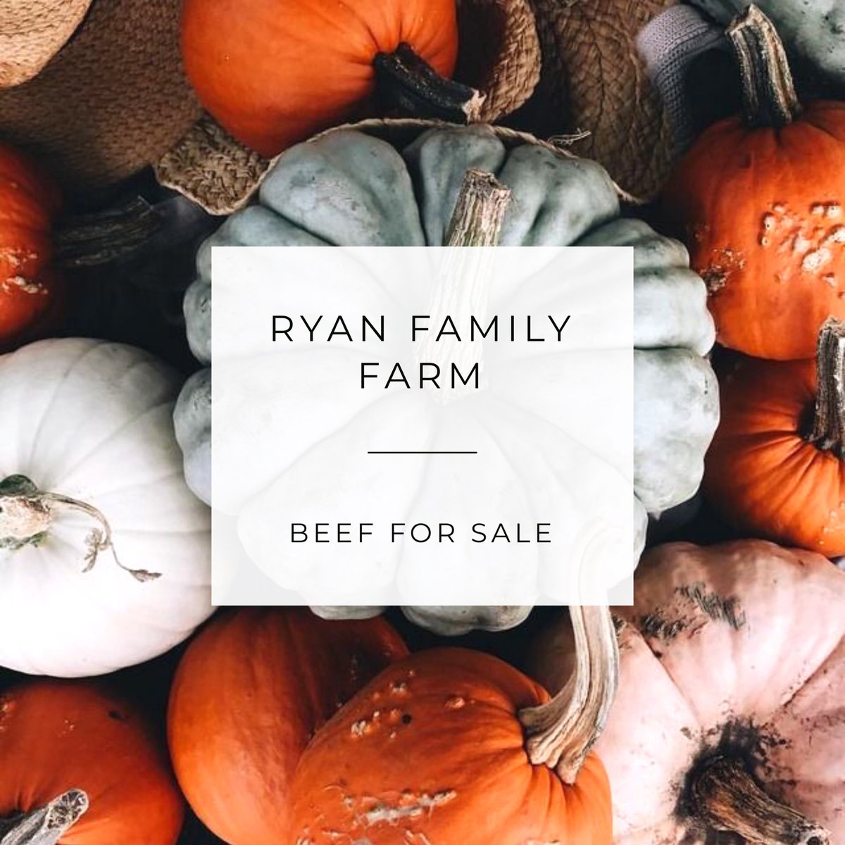 JessiAub's tweet photo. crockpot + chili season is approaching. we can help make sure you have plenty of farm fresh beef stocked up to meet all your needs!
-we have ground burger + steaks available (in small or bulk quantities) from a whole beef we had processed in June. #MObeef #BEEFforsale https://t.co/73zLsCycmu