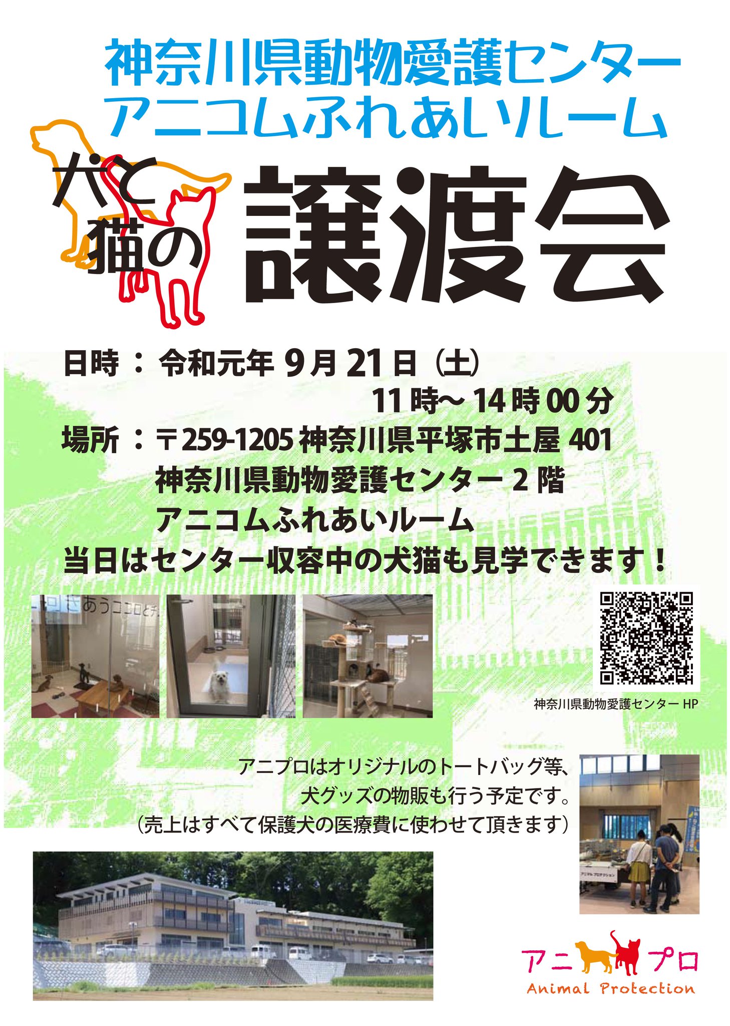 動物 神奈川 愛護 センター 県