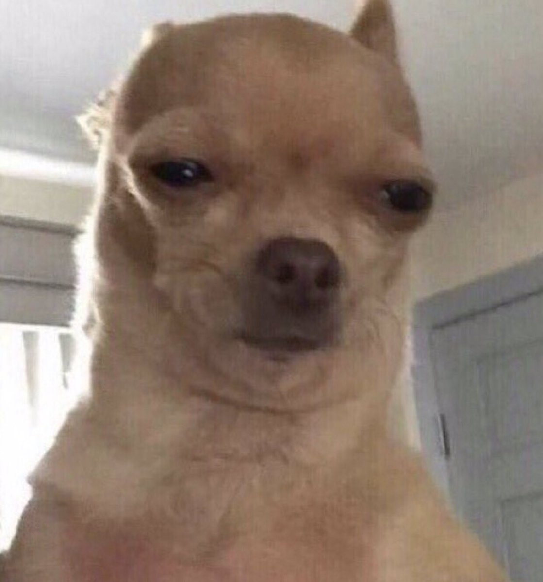 꿀같은 추석연휴가 지나가고
결국 월요일이 찾아왔네요•••
다들 살아계시죠..?
저는 다 죽어간답니다...
그래도 우리 오늘 하루 화이팅 해봐요..!
큐빅이 응완 헙니닦!^^