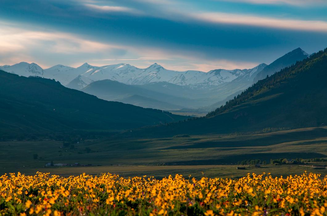 cbwildflowers's tweet photo. 2019 Photo Contest Winners!: - https://t.co/NFQTJB6RSt
(pictured, Honorable Mention taken by Chris Kasser) https://t.co/Jwb1ZDgKhT