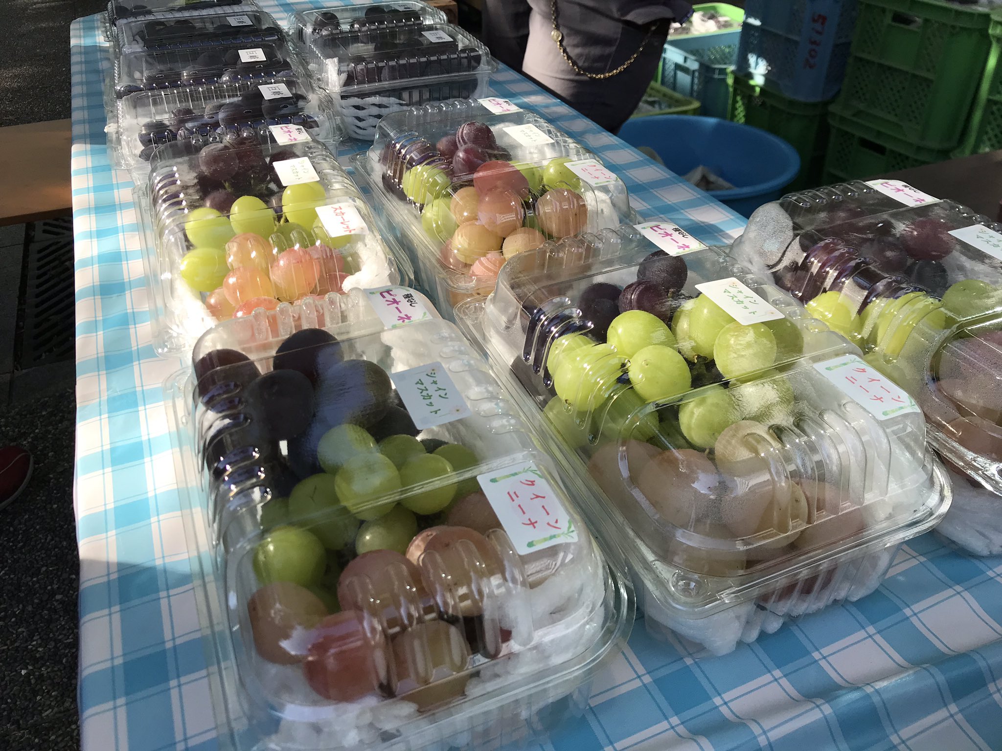 櫻井浩二インサイト 立川生志金曜日のインサイト 公式 インサイトマルシェ うきは市の やまんどん さん 梶原フルーツ さんのぶどうが到着 カラフルでインスタ映えしますね マルシェ 朝市 うきは市 やまんどん