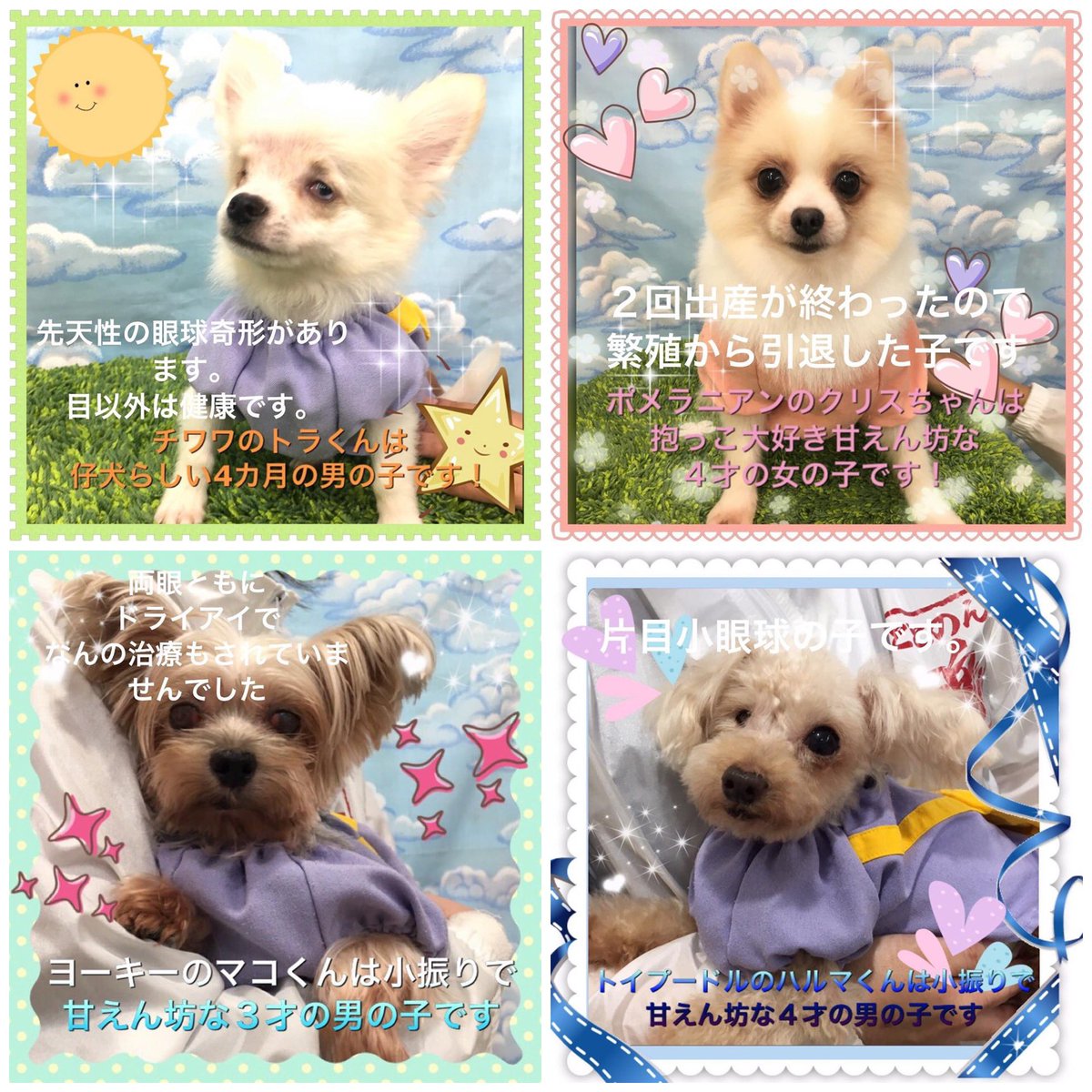 Hashtag ととのんハウス Na Twitteri Hashtag ととのんハウス Na Twitteri