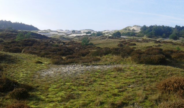 Het ontstaan van de duinen BERGEN Natuurgids Pim Weeda uit Hargen heeft zich tijdens en na zijn eindwerkstuk van de gidsencursus bij het IVN, steeds meer verdiept in het ontstaan van de duinen. Waar komt... twib.in/l/XEXrXqgdk8B8 via <a href="/Duinstreek/">DeDuinstreek.nl</a>