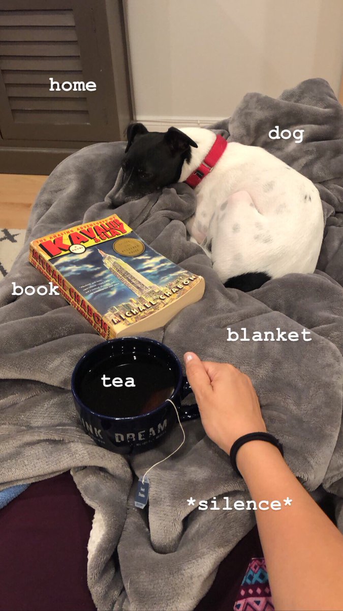 Anna Dobbin tweet media