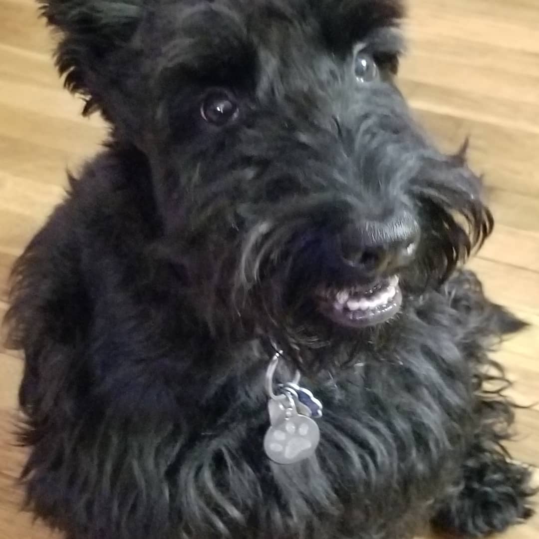 Jessica M Wright tweet media