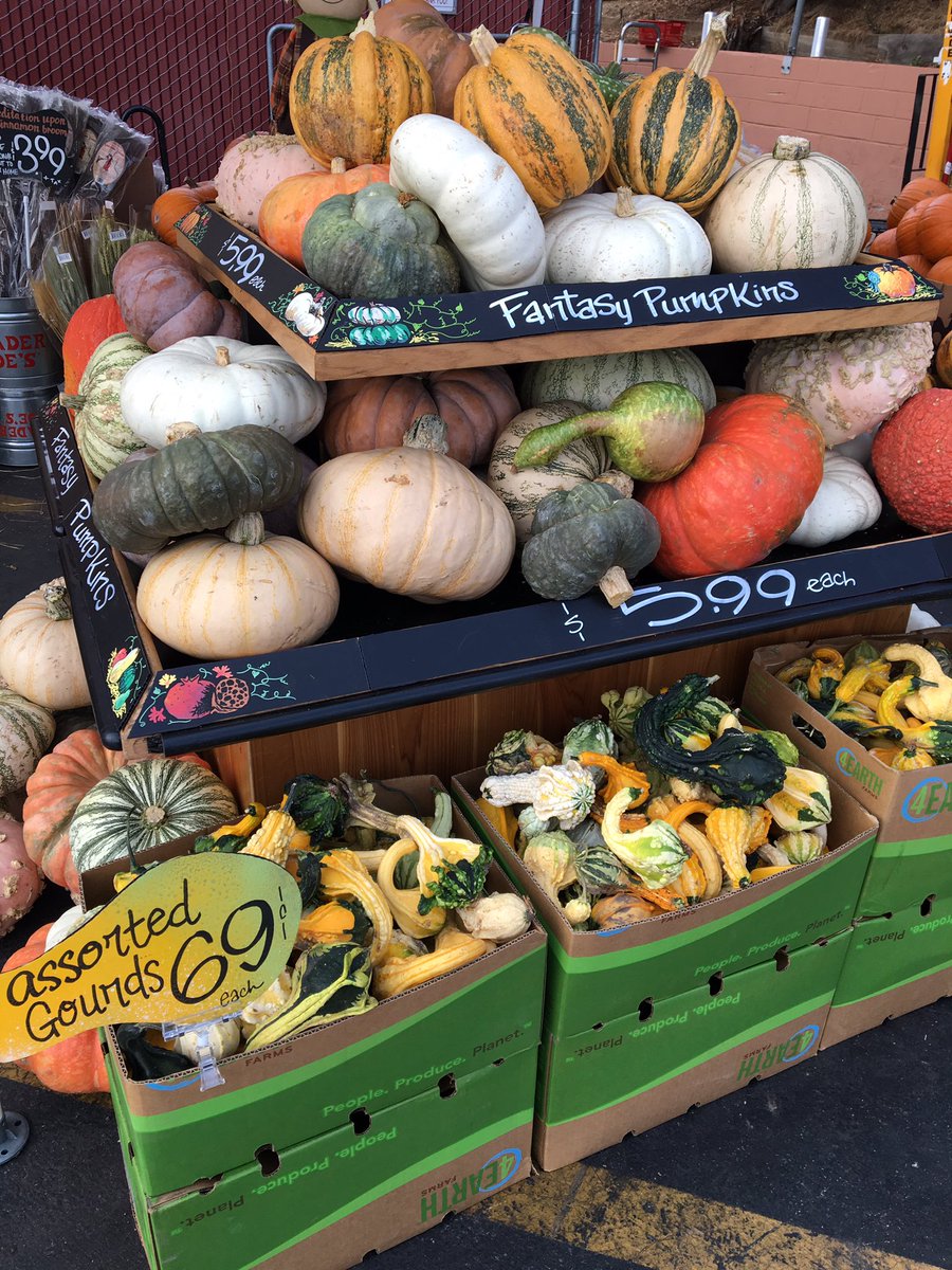 A grocery store display of assorted gourds and weird looking pumpkins.