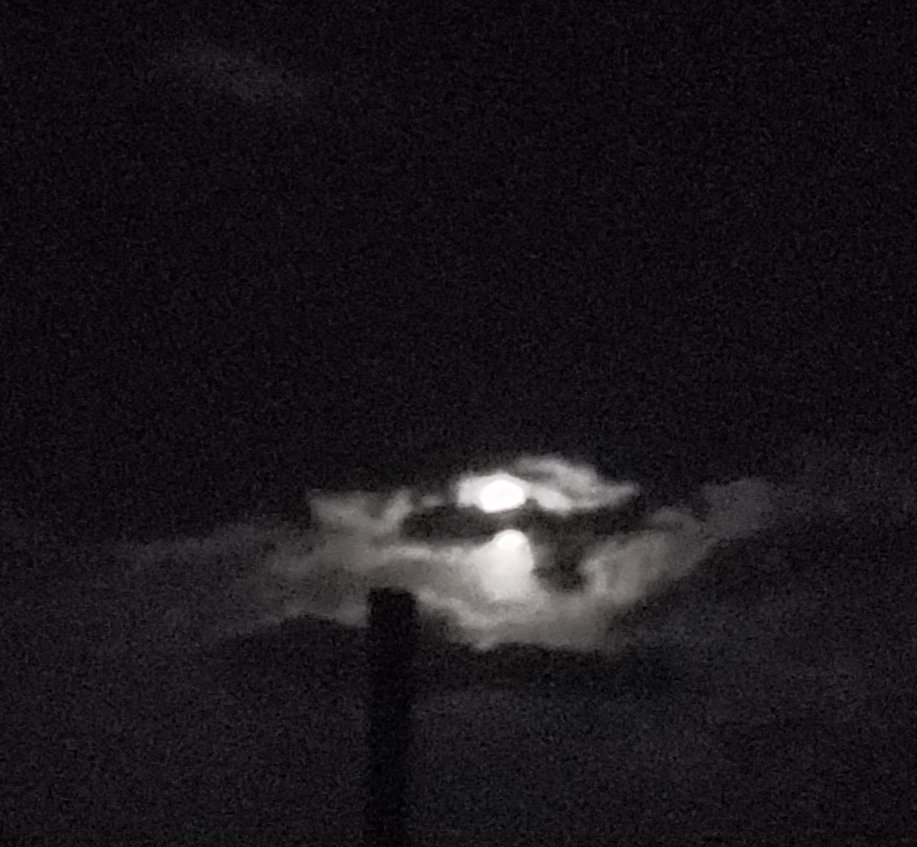 SarahPug12's tweet image. Eerie #HarvestMoon 🌚#CloudyNight 🌫 #September2019