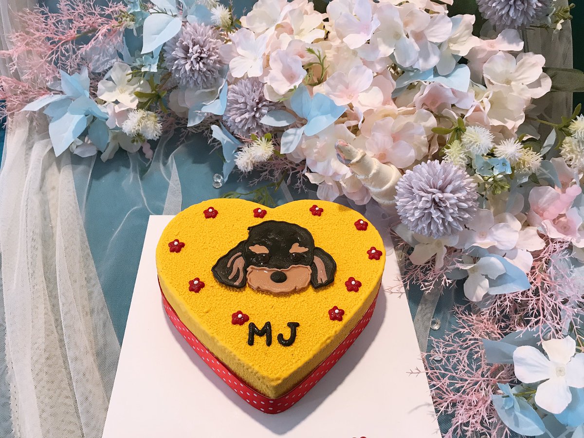 goguma_up's tweet photo. ⠀⠀⠀
⠀⠀⠀
우리 민주의 26번째 생일을
다시 한번 축하하며
앞으로도 변치않고 응원할게♡

함께 민주 생일을 준비하신
다.태.원분들 고생 많으셨어요 :)

#디아크 #전민주 #민주 #MINJU #MJ
@Keepsmile150412 @art_by_theark
@minju_0908 @_hkyji 외 다태원 두분
⠀⠀⠀ https://t.co/ZGB4jMz6Wt