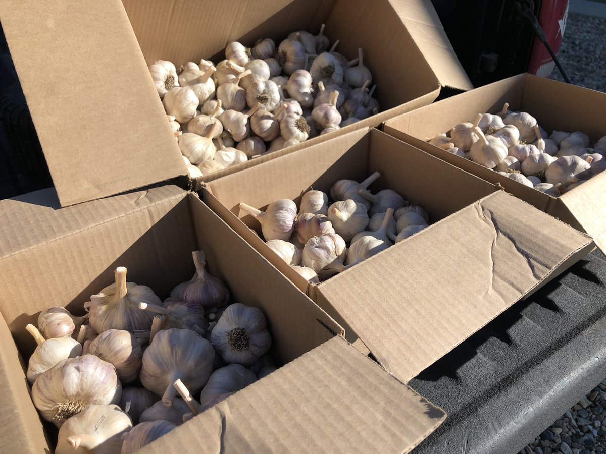 James McFarland tweet media