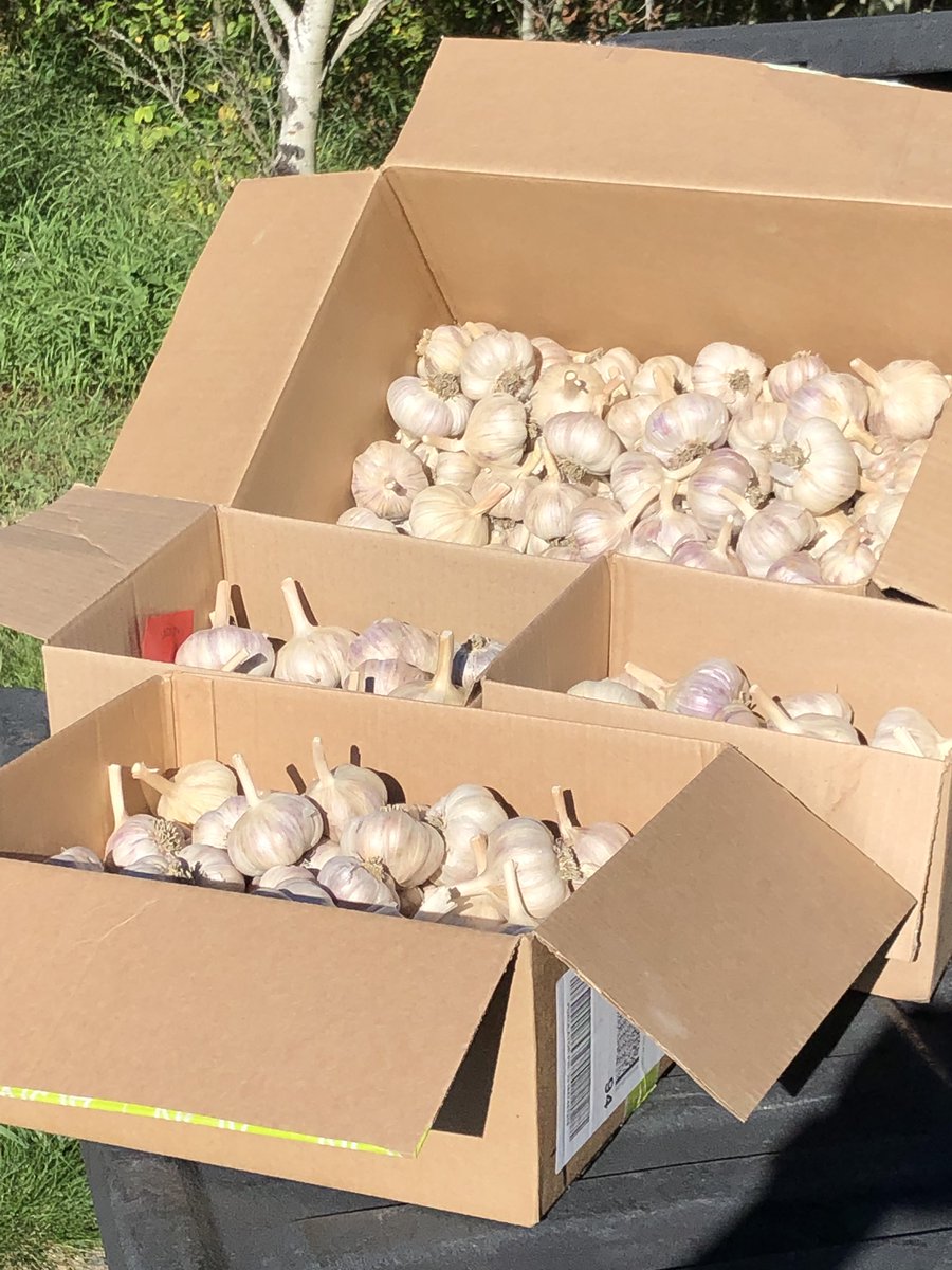 James McFarland tweet media