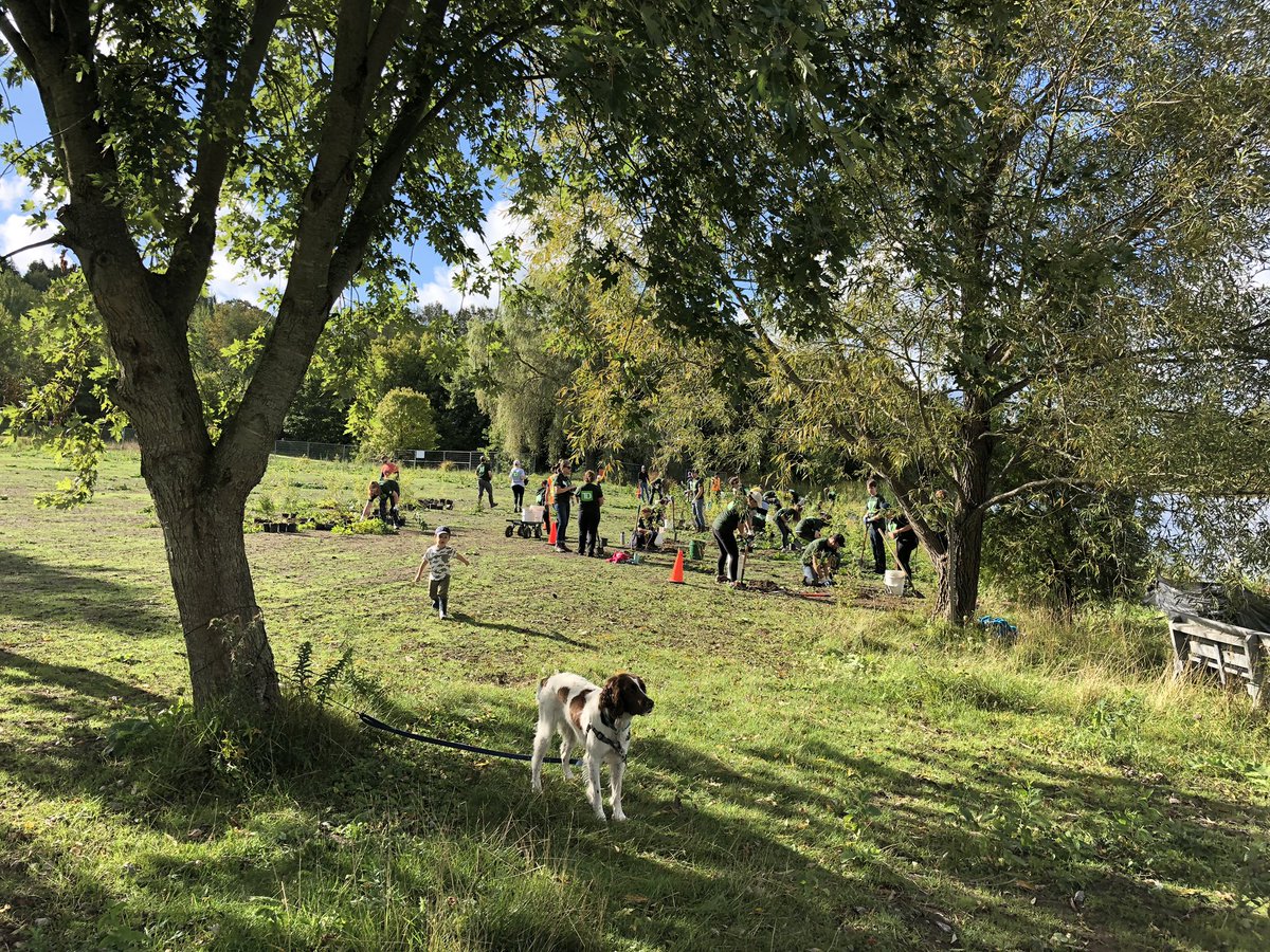 250 native trees planted at the Millbrook pond shoreline !

#tdtreedays #treeplanting #community #thereadycommitment   <a href="/MichelleW_TD/">Michelle Wilson</a>