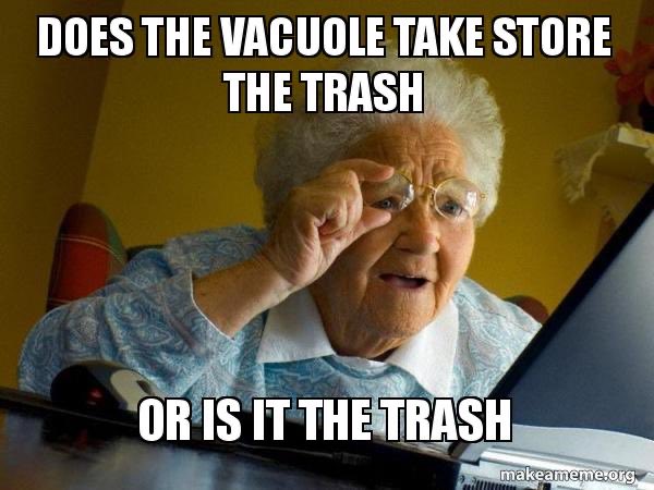 Powerconrida's tweet photo. @thesupervacuole https://t.co/PMr8I7kPex