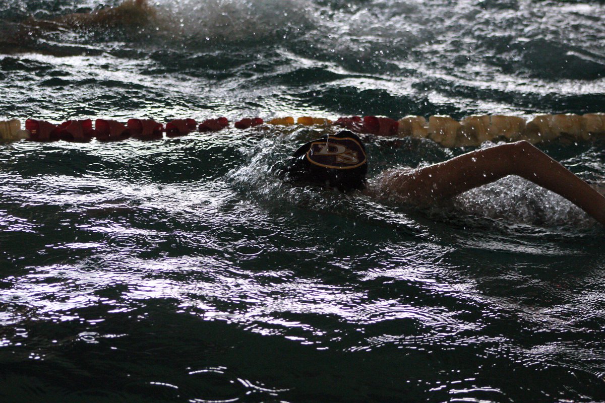 DSHS_Swim tweet media