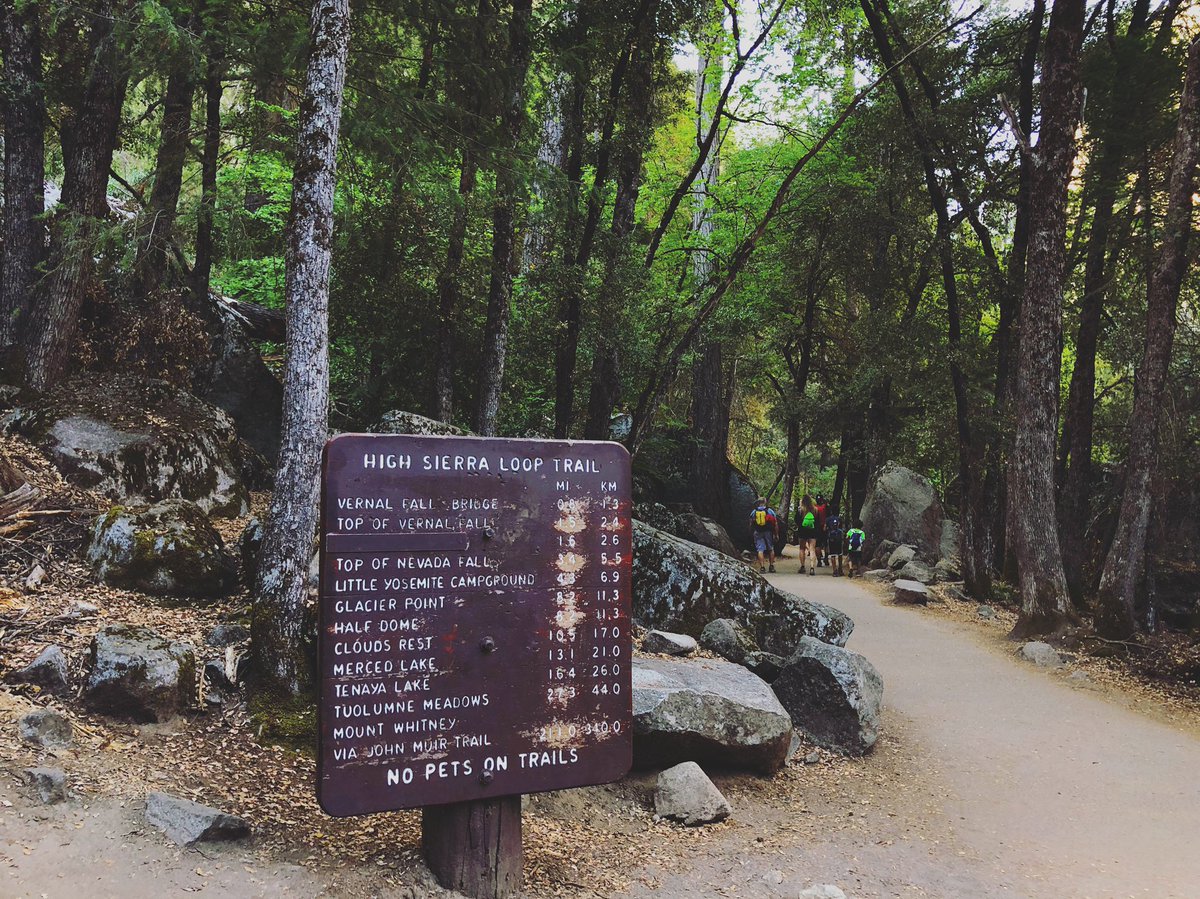 soundrobinapp's tweet photo. Don’t forget to enjoy some nature on your Sunday 🌞🌳 #soundrobin •
•
•
•
#hike #sundayfunday #music #app https://t.co/mRklDgWujV