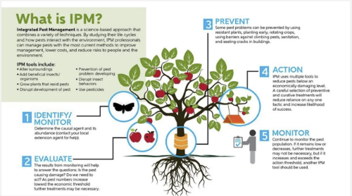 BUDataNarrative's tweet image. #INFOGRAPHICS are a key part of #science writing and combine both #data and #visualizations.