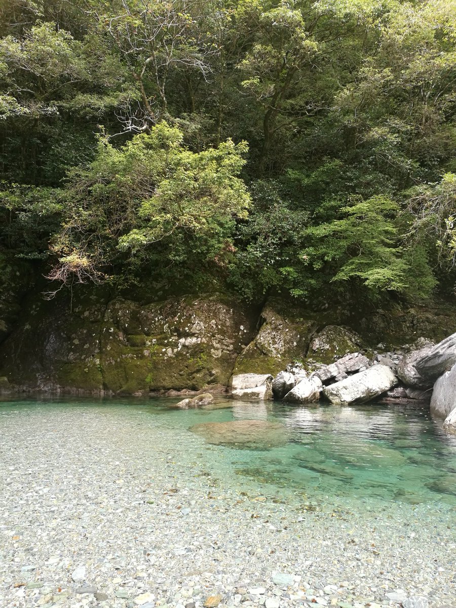 愛媛と高知の左の方を札幌から来た友達にレンタカー出してもらって回りました?
下灘駅は風情があるいい駅だったし、足摺岬から見る太平洋は波がめちゃくちゃ高いのに南国の海の色でふしぎだったし、仁淀川は透明度に語彙力が消失した 