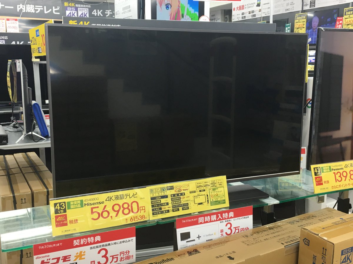 松の木 グレートオーク 一流 ビックカメラ 安い テレビ Kawakatsunaika Jp 松の木 グレートオーク 一流 ビックカメラ 安い テレビ Kawakatsunaika Jp