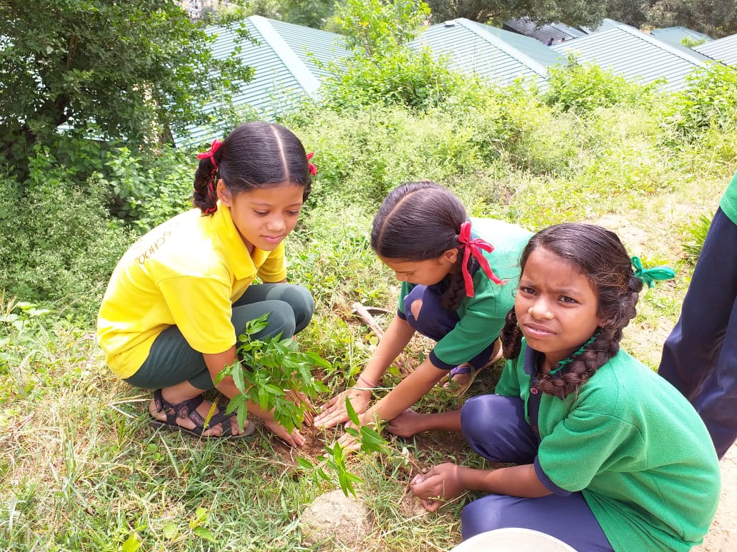 RedTapeMovement's tweet photo. @XRLearningRebel @_chloetom Thousands of teachers & students (#India) will #ActOnClimate & support #ClimateStrike through @RedTapeMovement, #afterschooltime. It will help to #ReduceEmissions, increase #SinkCapacity, maintain #EcologicalHomoeostasis & cause #awareness. #WeSupportGreta https://t.co/Tbr5XcYJgT https://t.co/sFW0wRG2Hw
