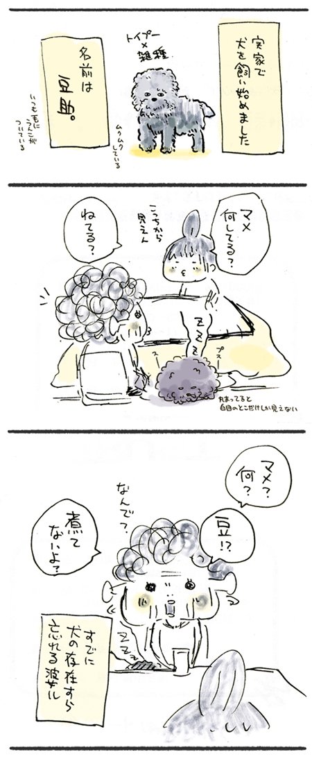 #敬老の日

犬、飼い始め。 