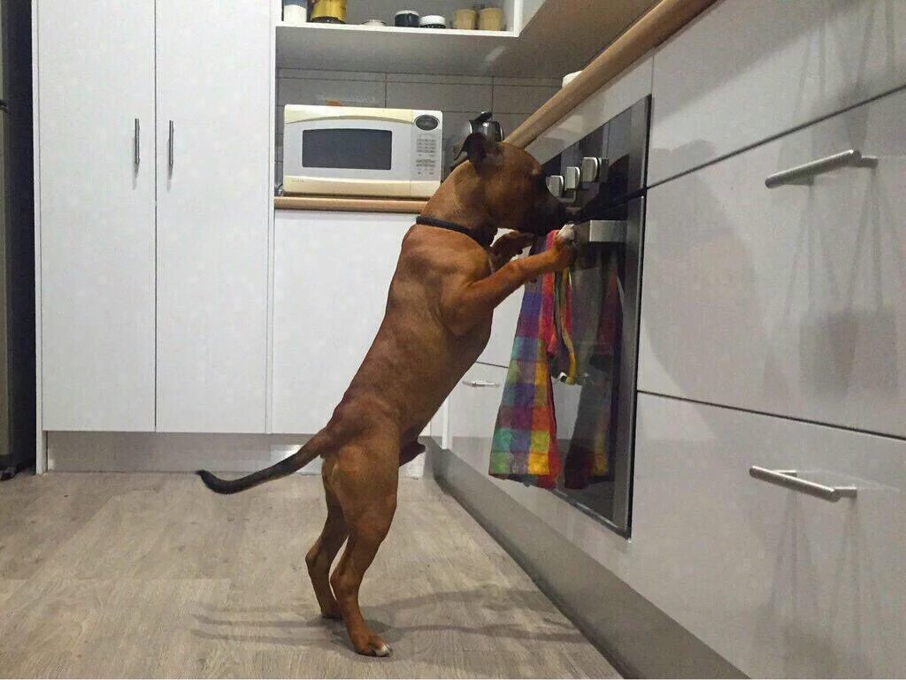 Roberto (@willybronca777) on Twitter photo 