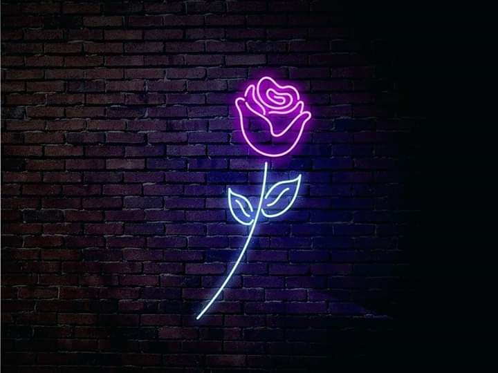 Aestheticx_'s tweet photo. Neon Vibe 😍💜 https://t.co/u0WMUKhNa6