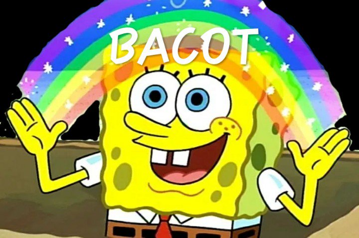  Spongebob  Bacot  news word