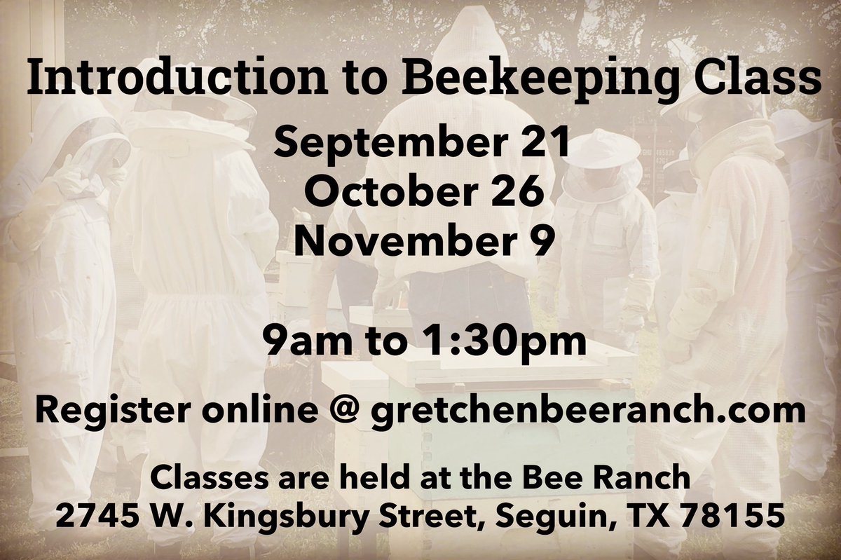 Gretchen Bee Ranch tweet media