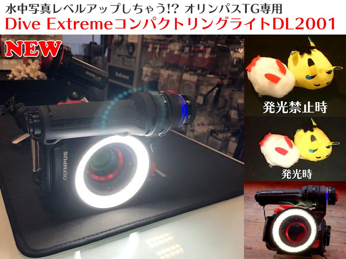 ダイビングショップmic21(エムアイシー21) on X: