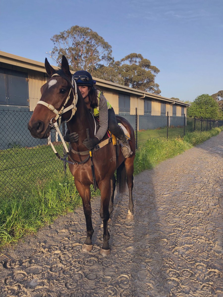 Rachel Armes (@racharmes) on Twitter photo Lord Jaysea’s race day debut is slowly creeping upon the <a href="/JohnPriceRacing/">John Price</a> stable. We’re looking for to it and can’t wait for this beautiful Playing God gelding to take the next step in his career! Lord Jaysea’s race day debut is slowly creeping upon the <a href="/JohnPriceRacing/">John Price</a> stable. We’re looking for to it and can’t wait for this beautiful Playing God gelding to take the next step in his career!